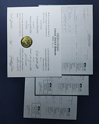 LAU diploma and transcript for sale, Lebanese American University diploma