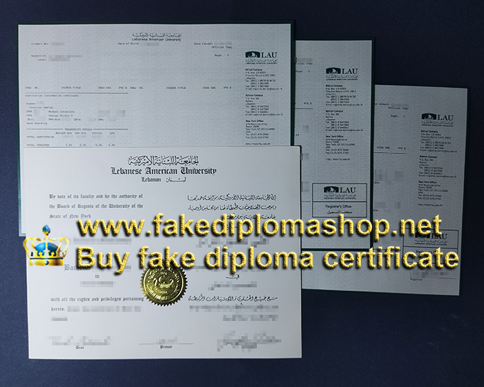LAU diploma and transcript, Lebanese American University diploma