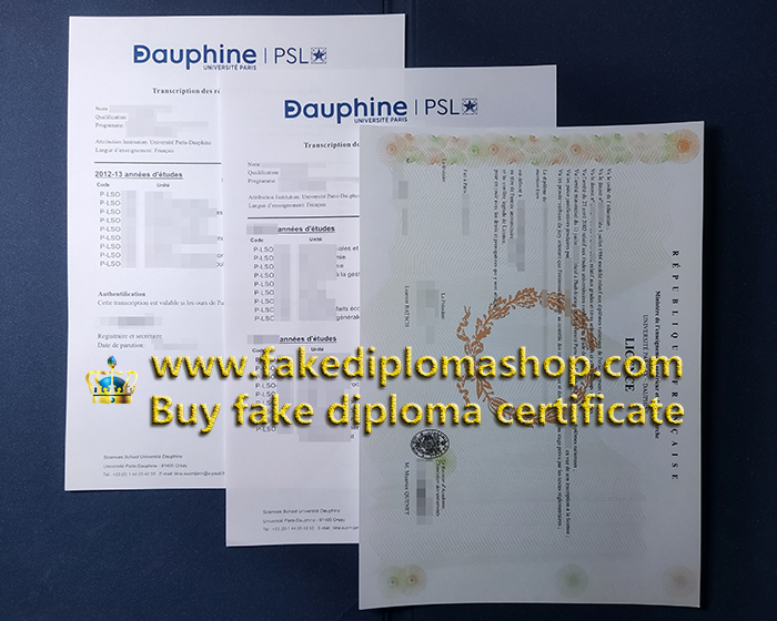 PAL diploma and transcript, Paris Dauphine University diploma