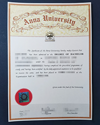 What are the qualifications for Anna University diploma in India?