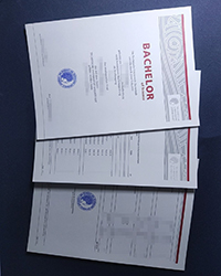 Order a fake Technische Universität Darmstadt diploma of Bachelor in 2024