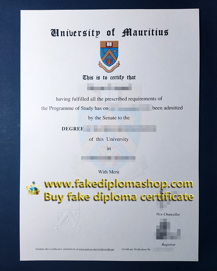 University of Mauritius degree of Bachelor