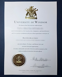 How to Replace Your Lost University of Windsor degree of Bachelor?