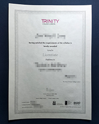 Old version TCL diploma, Trinity College London diploma for sale