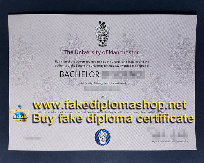 University of Manchester degree of Bachelor