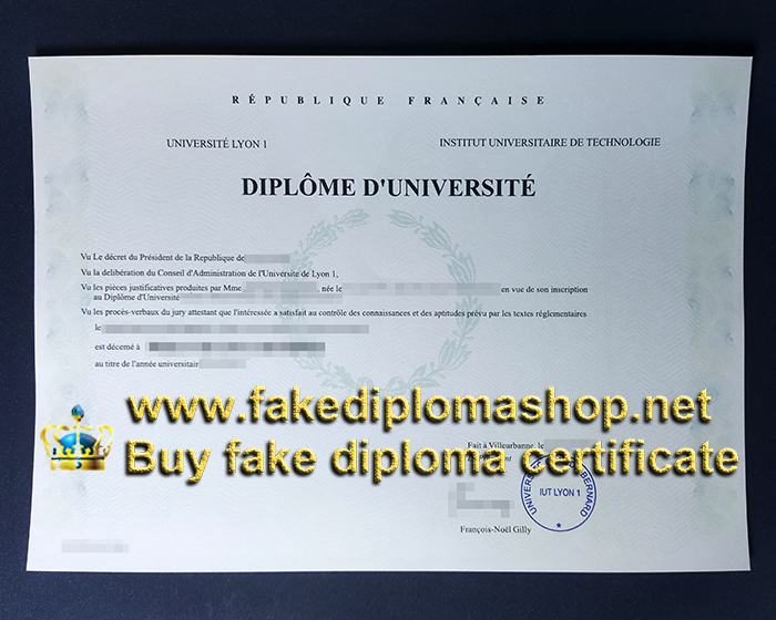 IUT Lyon diploma, Claude Bernard University Lyon 1 diploma