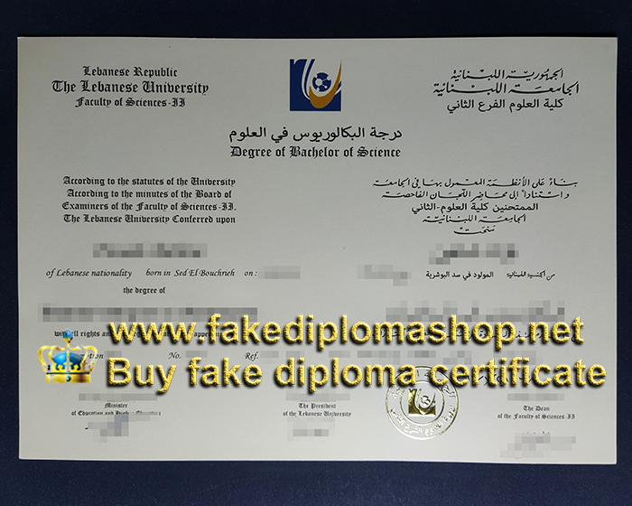 Lebanese University diploma