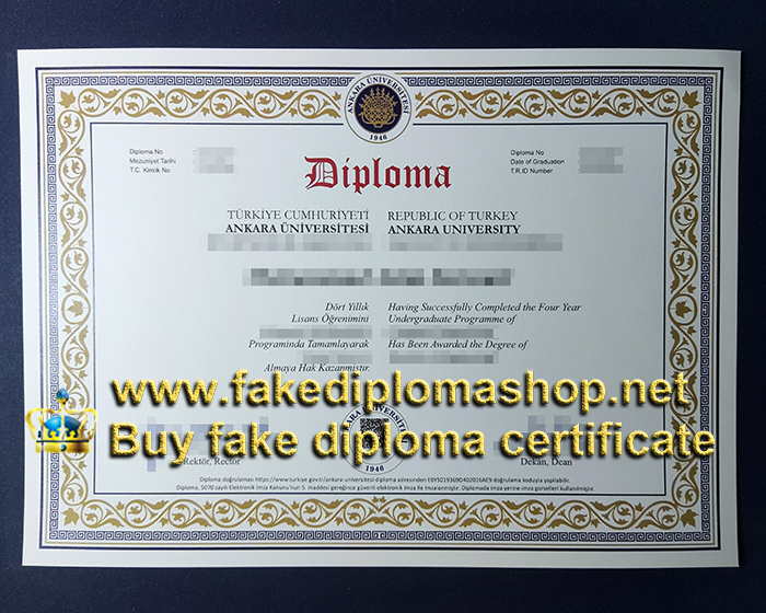 Ankara University diploma