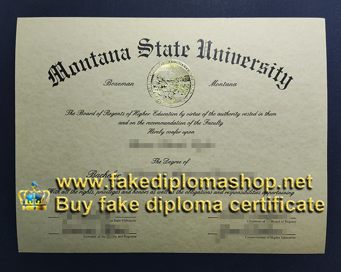 Montana State University diploma, MSU diploma