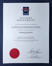 Is it hard to get into Algoma University diploma now?
