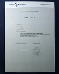 Why do you choose a Latest edition Tilburg University diploma to get a job?