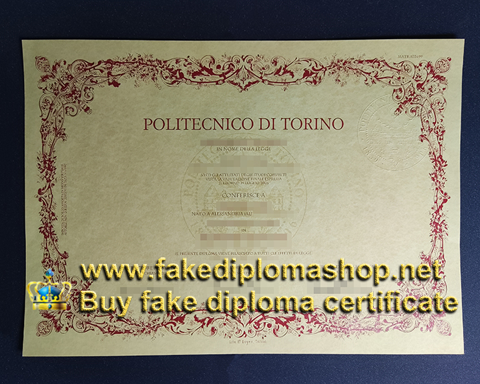 Politecnico di Torino diploma