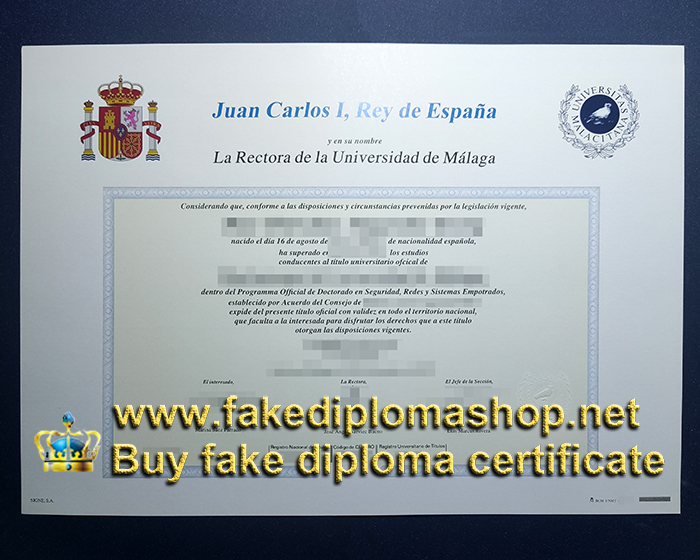 Universidad de Málaga diploma