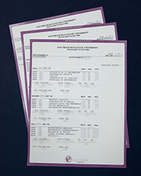 Where can I buy the same San Francisco State University transcript as the official?