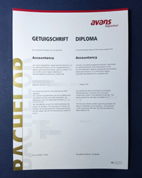 Can I buy a fake Avans University of Applied Sciences diploma with transcript?