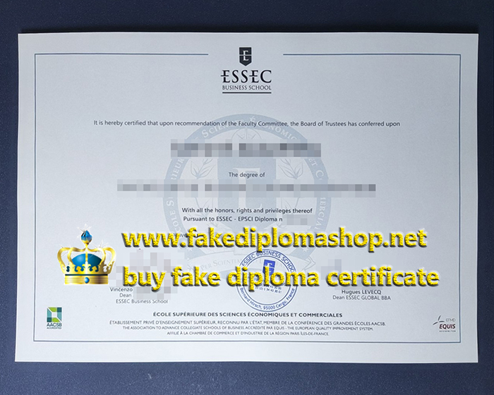 ESSEC Business School diploma