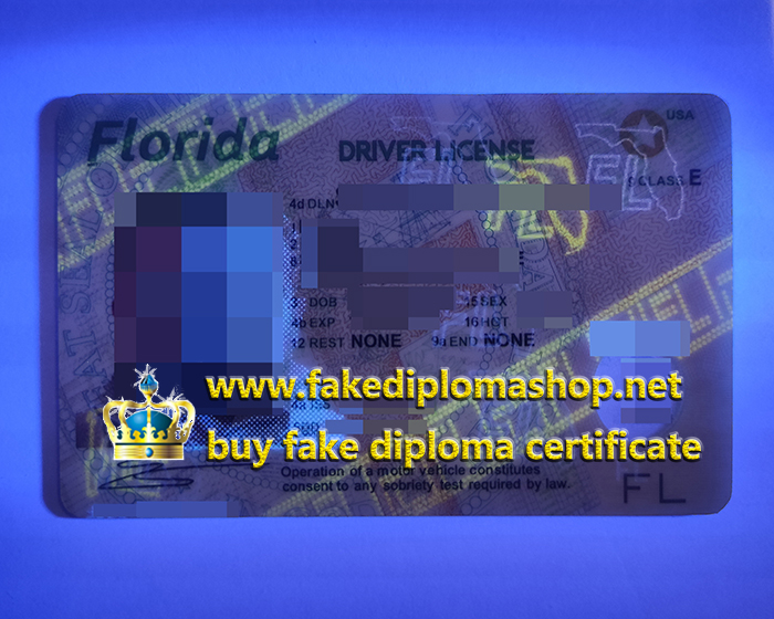 Florida Driver License