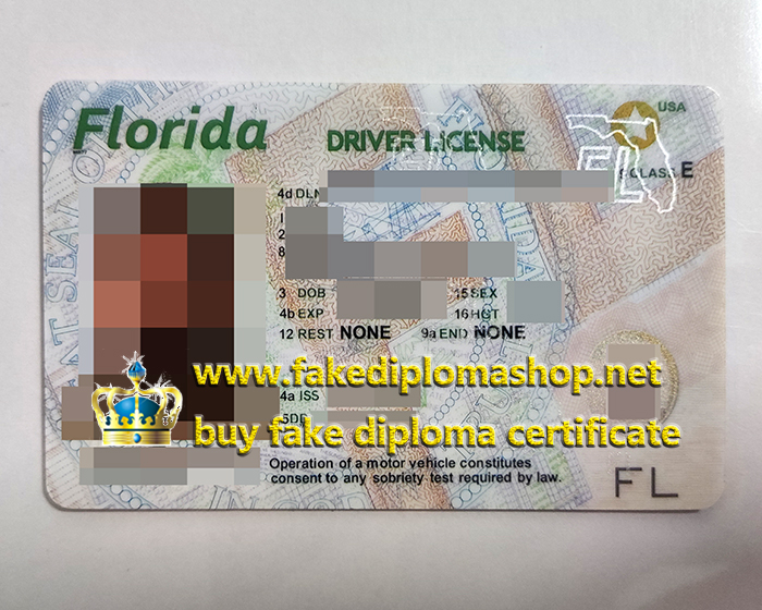 Florida Driver License