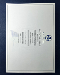 Quickly customize your LEI diploma, Leiden University diploma for sale