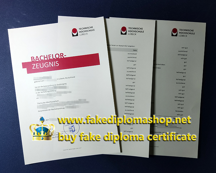 TH Lübeck diploma and transcript