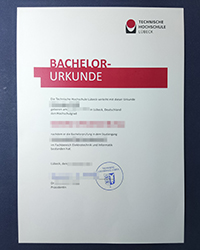 How important is an THL diploma, Technische Hochschule Lübeck diploma now?