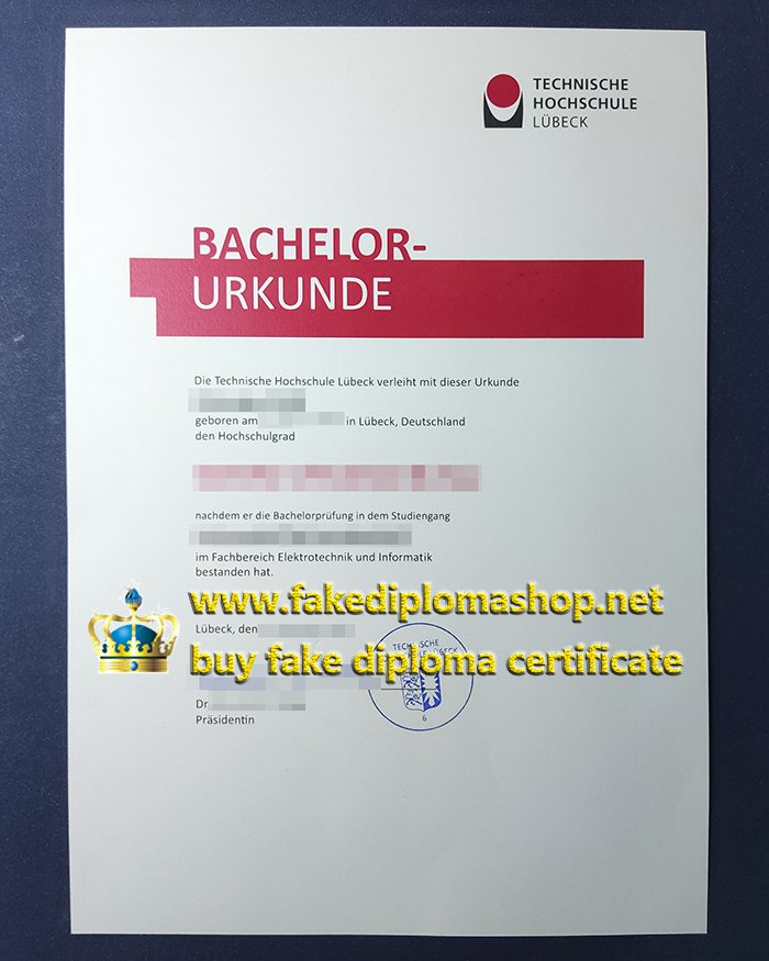 THL diploma, Technische Hochschule Lübeck diploma