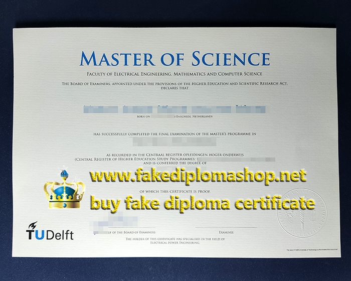 TU Delft diploma, Delft University of Technology diploma