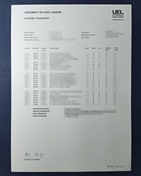 Find us to customize the UEL transcript to your satisfaction