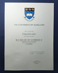 Where can I get University of Auckland diploma design services?