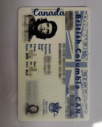 How long will it take me to get British Columbia Driver’s Licence in Canada?