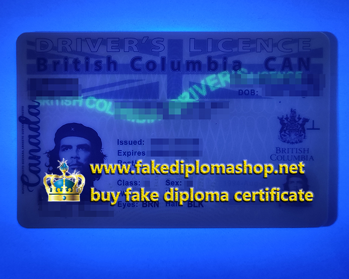 British Columbia Driver's Licence under purple light effect