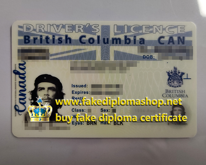 British Columbia Driver's Licence