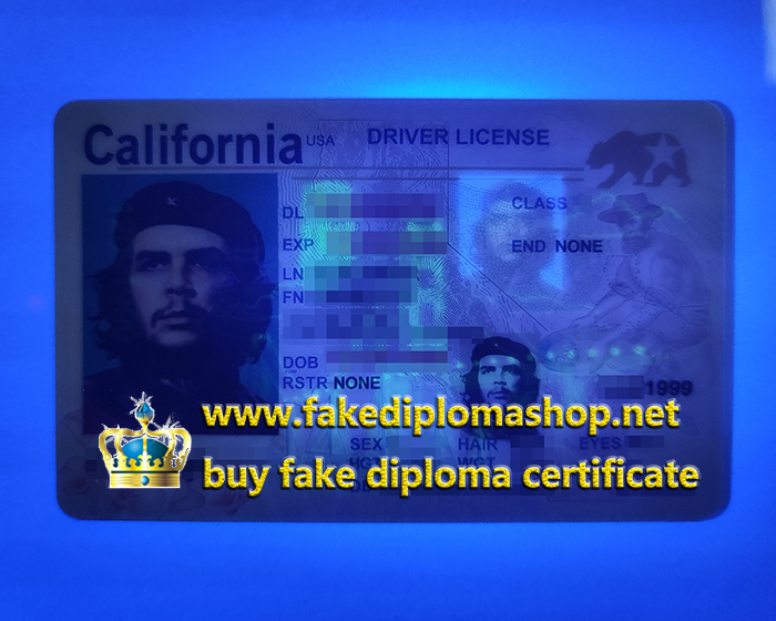 California Dricer License under purple light effect