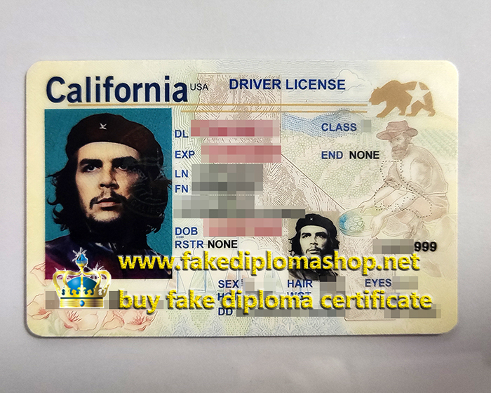 California Dricer License