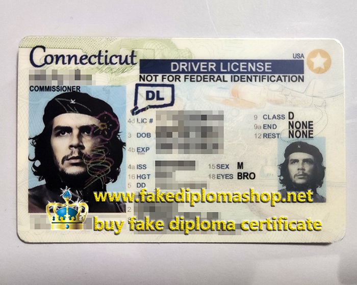 Connecticut Driver License