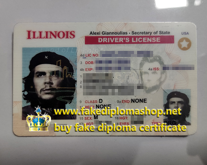 Illinois Driver's License