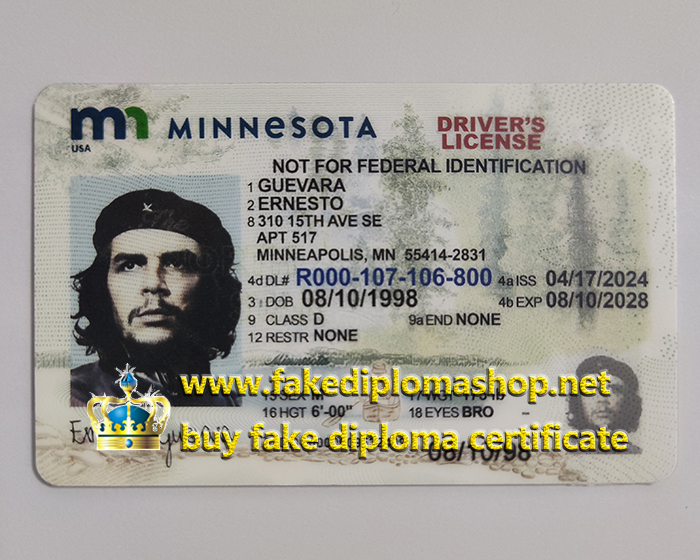 Minnesota ID, Minnesota Driver's License