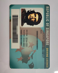 Quickly customize your Singapore driving licence, Singapore DL for sale