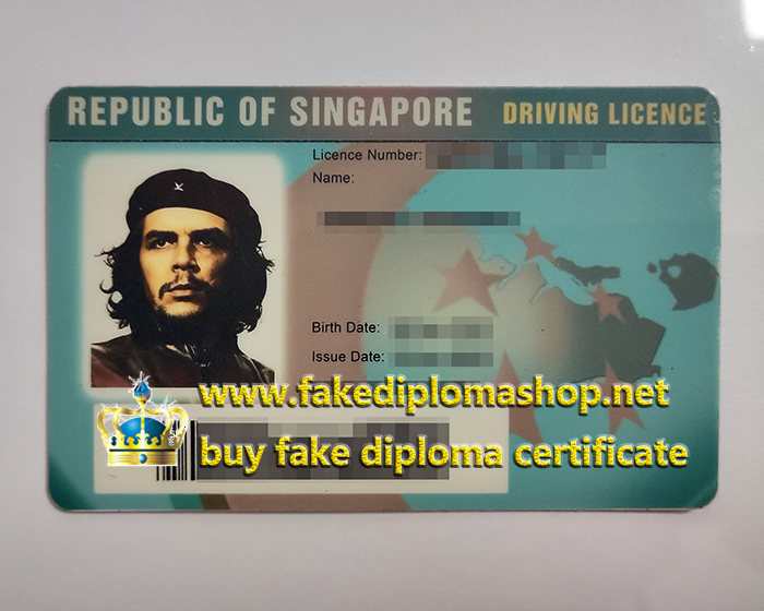 Republic of Singapore driving licence