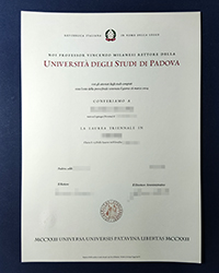 Is it difficult to order a UNIPD diploma, University of Padua diploma in Italy?