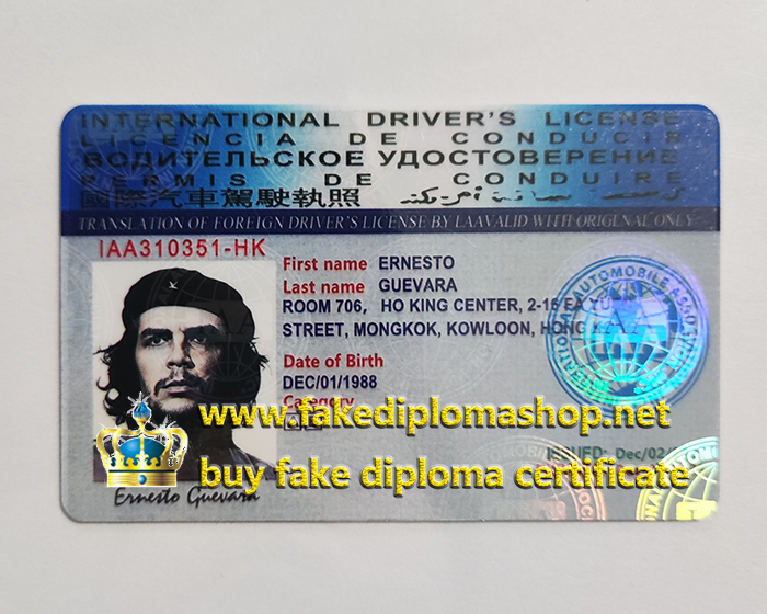 International Driver's Licence, realistic IDL